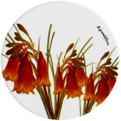 Botanics Coaster Christmas Bells