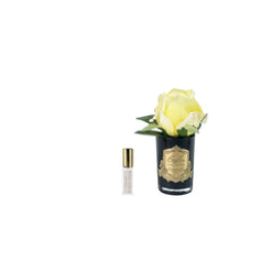 Touch Rose Bud - Black - Yellow