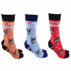 Dog  Society Blue Heeler Socks