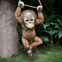 Orangutan Hanging B