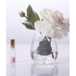 Tear Drop Tea Rose In Clear Glass - Pink Blush