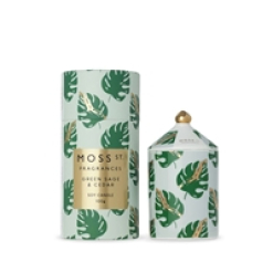 Green Sage & Sedar Ceramic Candle 320 G