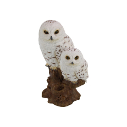 White Owl with Baby on Tree