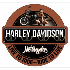 Harley 1 Key Holder