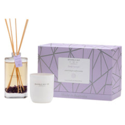 GiftBox-Crystal Infusions-Amethyst