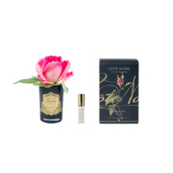 Touch Rose Bud Black - Magenta