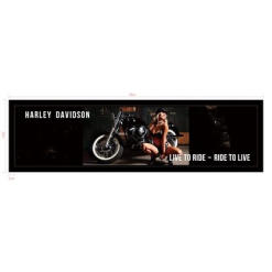 Harley Davidson 1 Bar Runner
