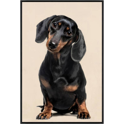 Timothy Dashshy Canvas