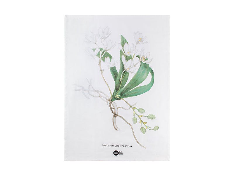 Royal Botanic Gardens Australian Orchids Tea Towel