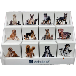 Puppy Love Cavoodle Coaster