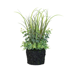 Draper PVC Bare Root Coastal Grass