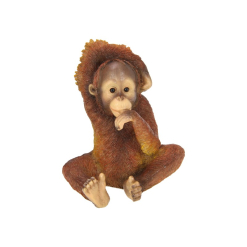 Sitting Orangutan