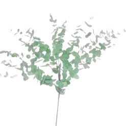 Gum Leaves