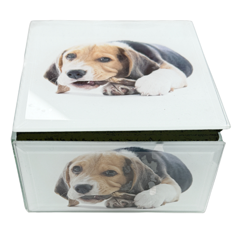 Beagle Pup Keep Sake Box - Firmins Lane Garden Supplies