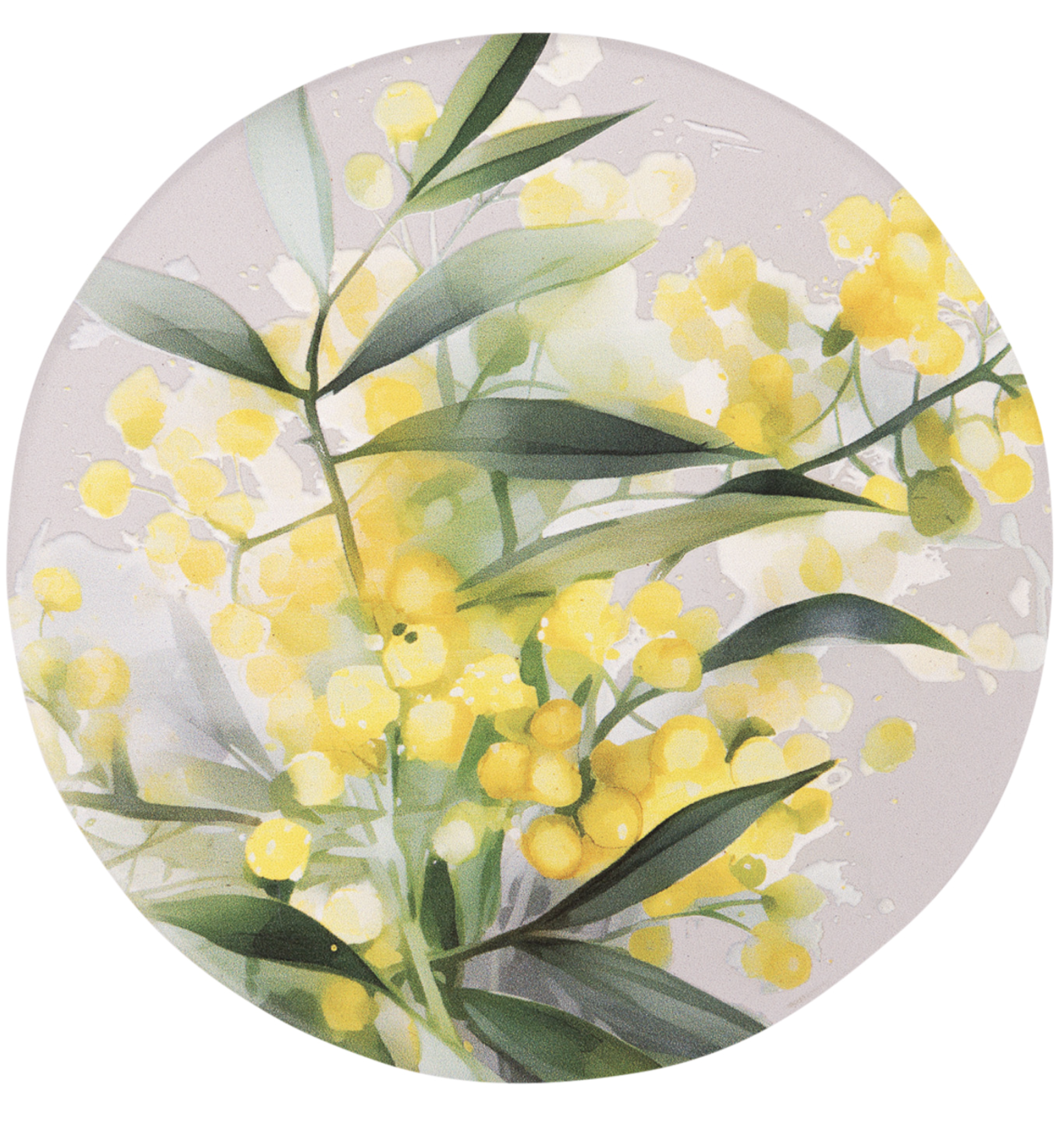 Native Blooms Yellow Wattle Ceramic Coaster