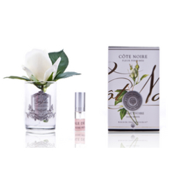 Touch Rose Bud - Clear - White