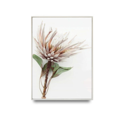Canvas Print Native Banksia