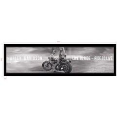 Harley 2 Bar Runner