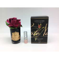Touch Rose Bud - Black - Red