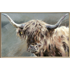 Highlander Cow - Brushed