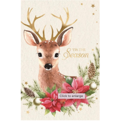Card 10pk Salvo Forest Deer