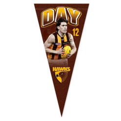 Hawthorn Player Pennant Day