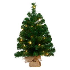 Christmas Tree- Potted Chadwick Green with Lights