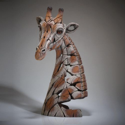 Giraffe Bust