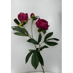 Peony X3 Spray Fuschia 81cm