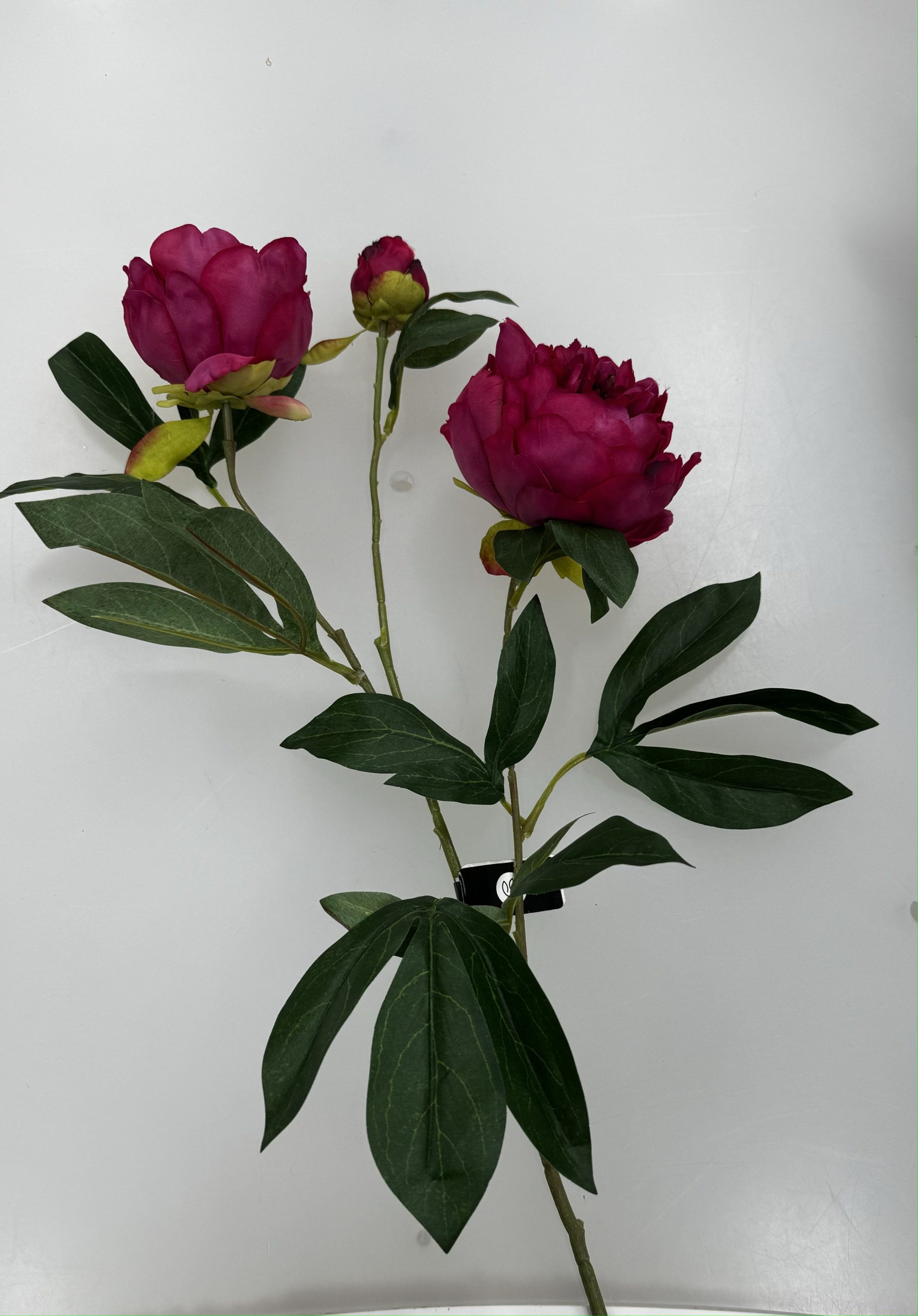 Peony X3 Spray Fuschia 81cm