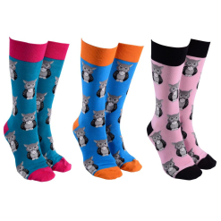 Sock Society Owl