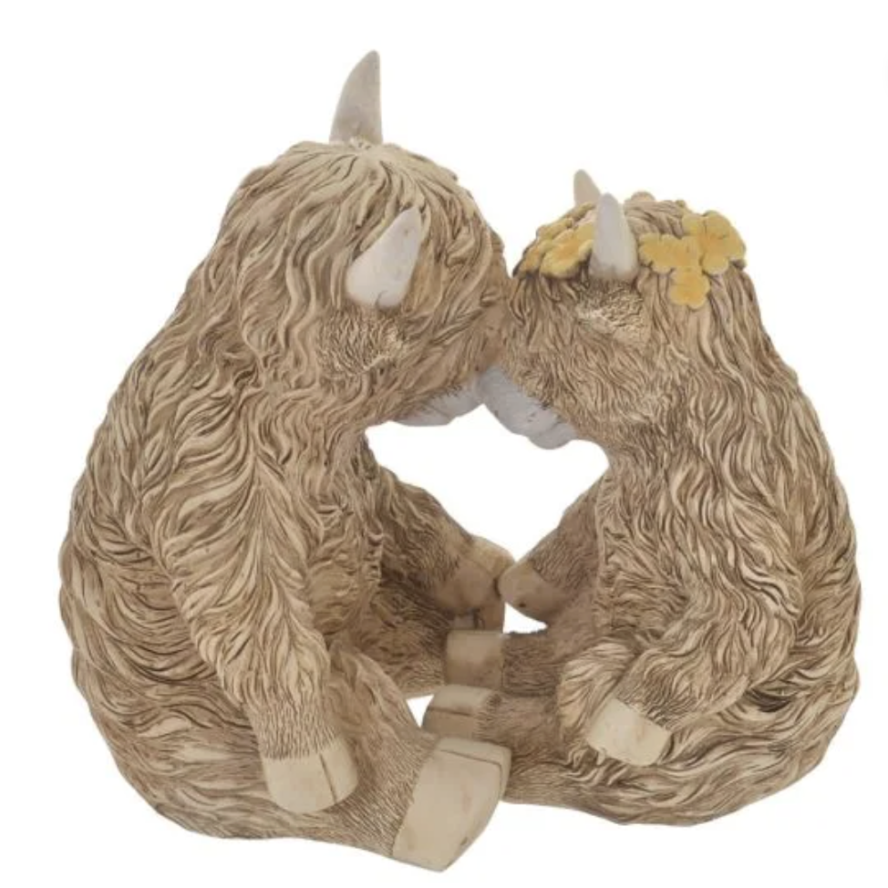 Highland Cow Couple