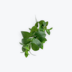 Artificial Greenery 73cm