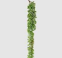 String of pearls