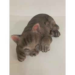 Laying Down Cat