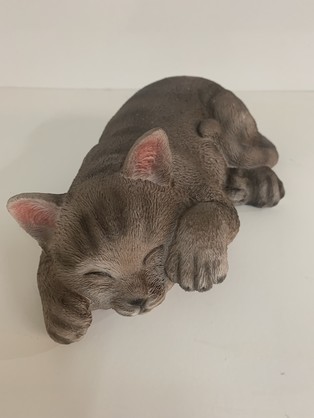 Laying Down Cat