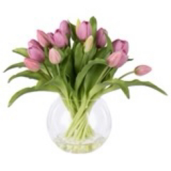 Tulip Bunch