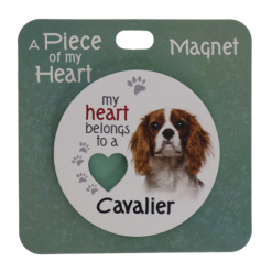 Cavalier magnet