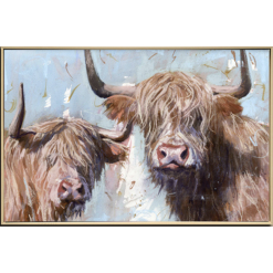 Two Highlander Bulls - Brushed