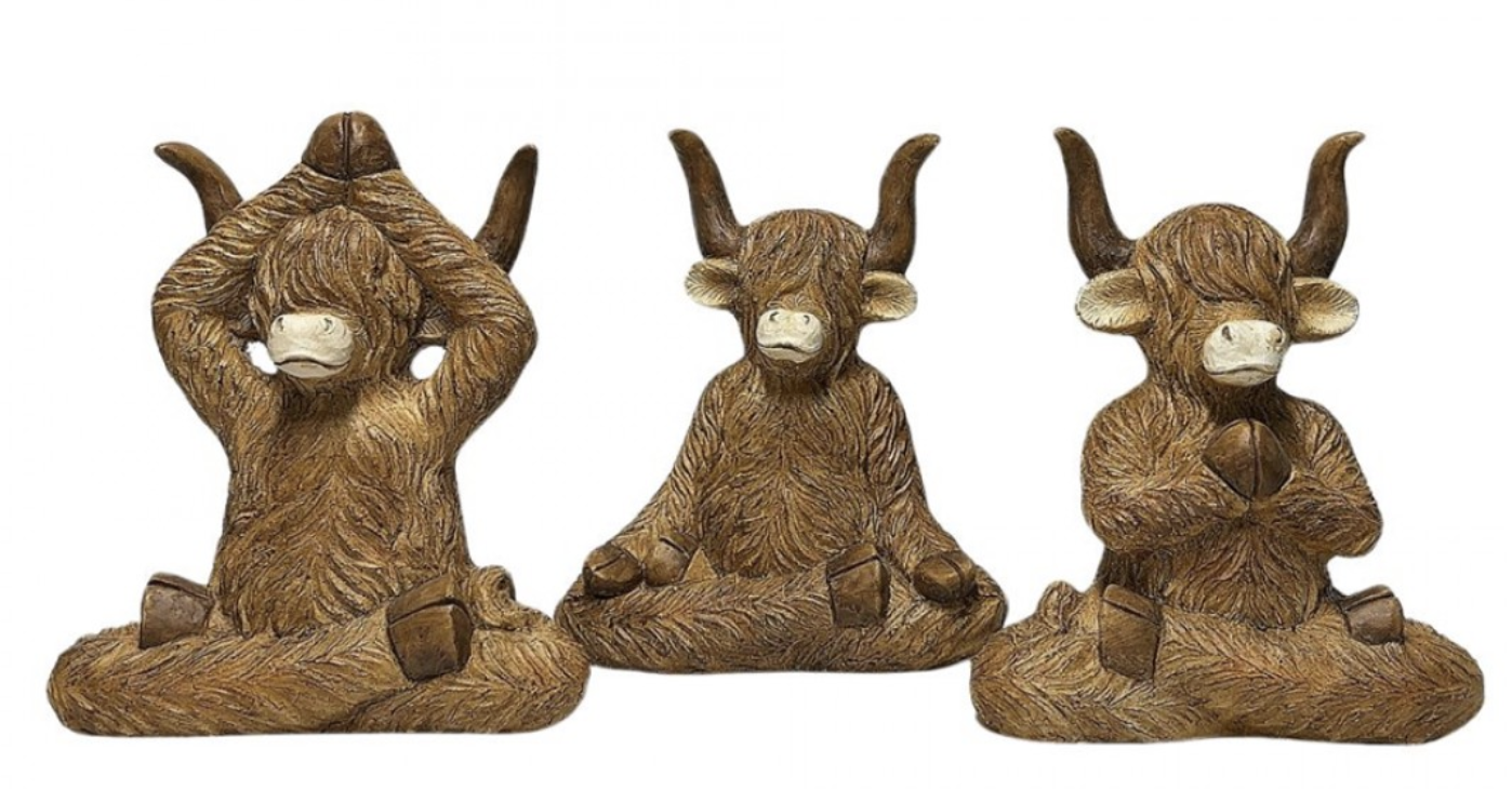MgO Highland Cow B