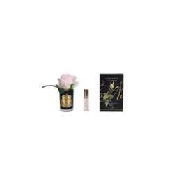 Touch Rose Bud - Black - Champagne Pink