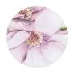 Blossom Flower Ceramic Coaster