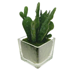 Cactus Artifical in Glass Pot