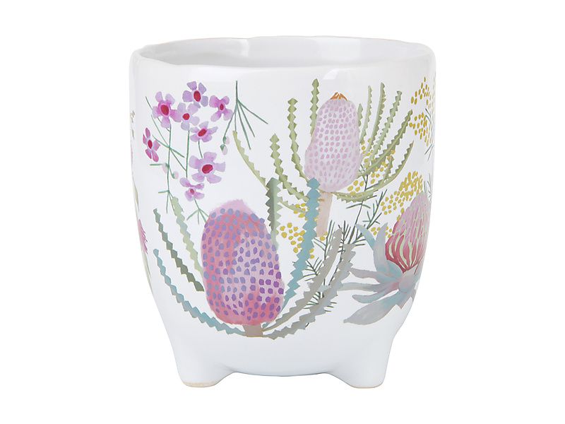 Royal Botanic Gardens Native Blooms Plant Pot 10cm