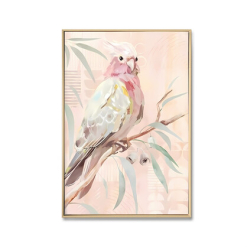 Galah Facing Right - Brushed