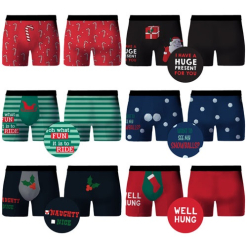 Xmas Novelty Briefs Large