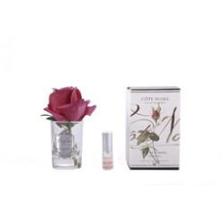 Touch Rose Bud - Clear - Carmine Red