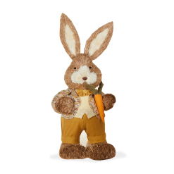 Sunny Rabbit With Carrot