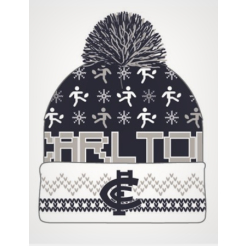 Adult Ugly Beanie Blue