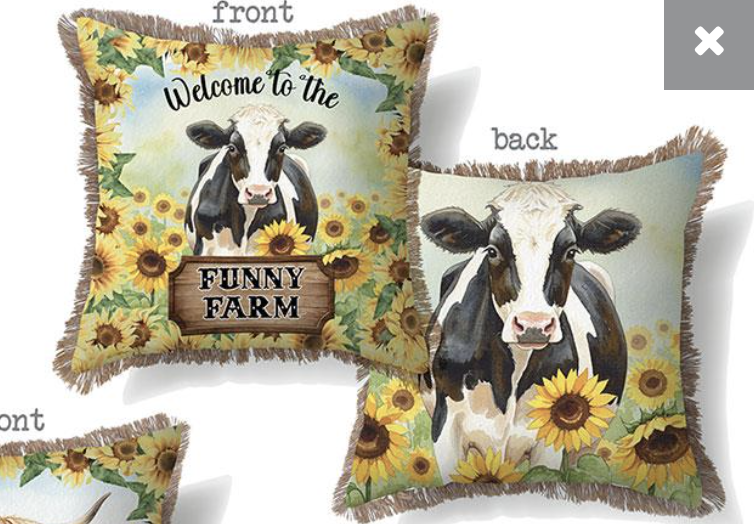 Funny Farmyard Cushion B